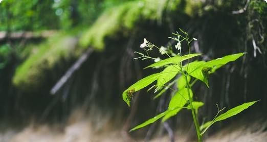 《时空召唤剑圣出装攻略最新》（掌握最新的剑圣出装套路，击败对手无往不胜！）
