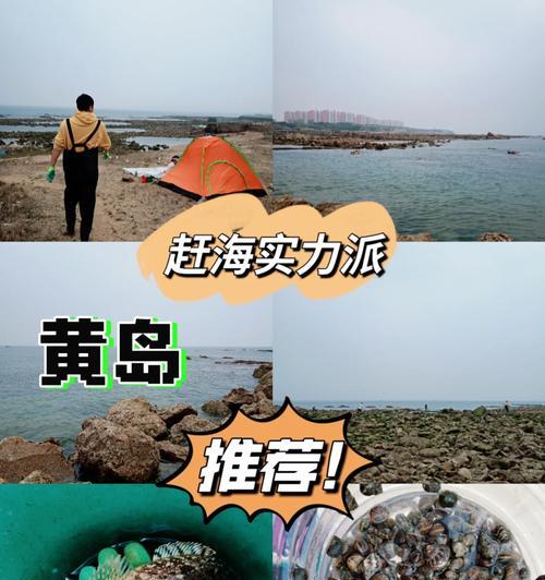 青岛赶海攻略（亲身体验青岛赶海，从这些关键技能开始）